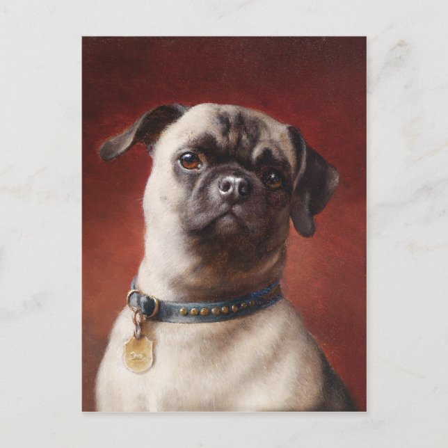 Mops Postkarte (Vorderseite)