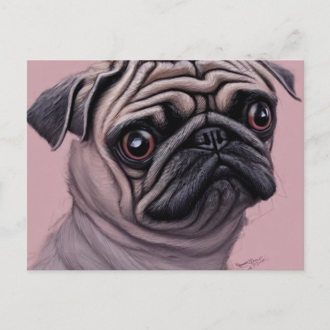Mops Postkarte (Vorderseite)