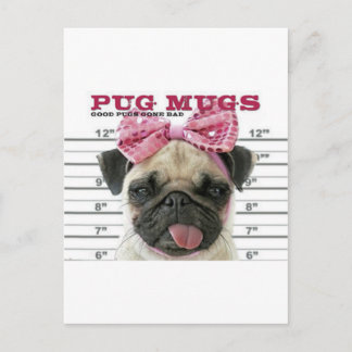 Mops Postkarte
