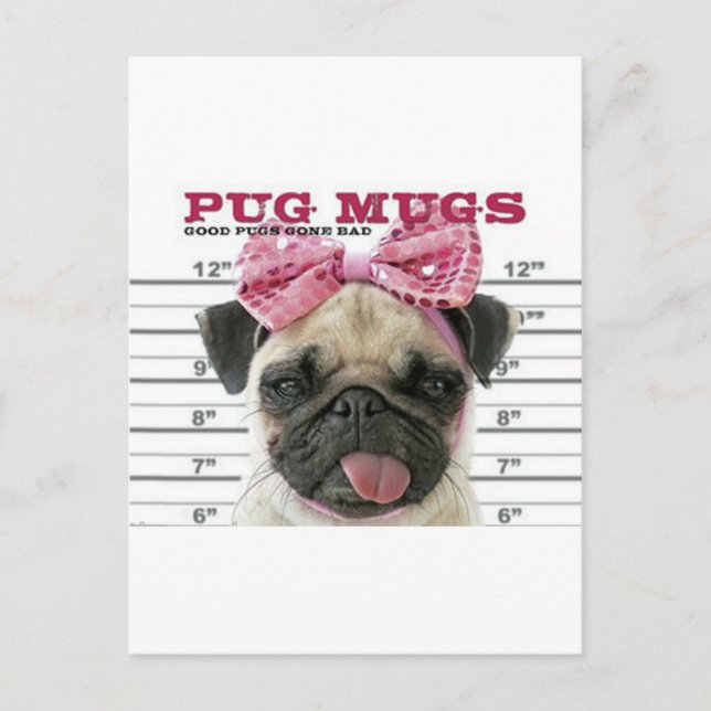 Mops Postkarte (Vorderseite)