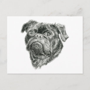 Mops Postkarte
