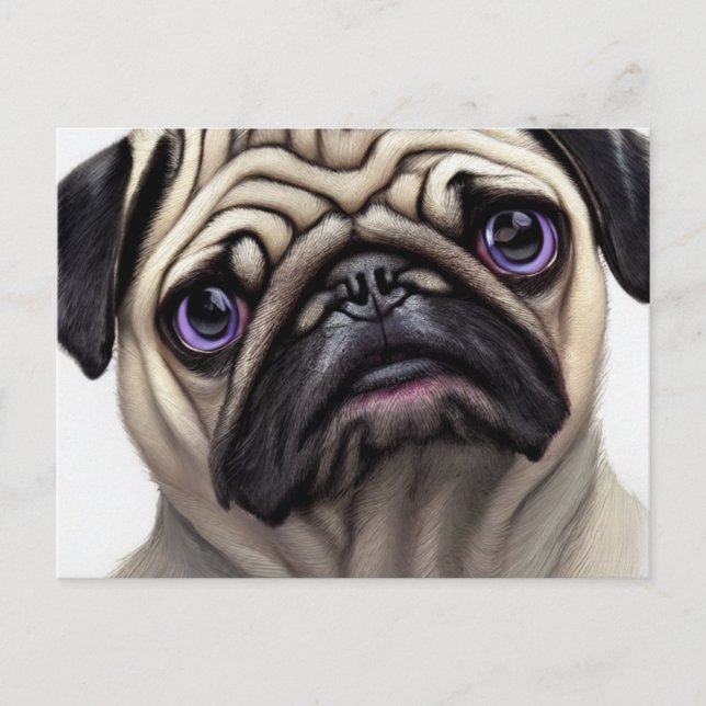 Mops Postkarte (Vorderseite)