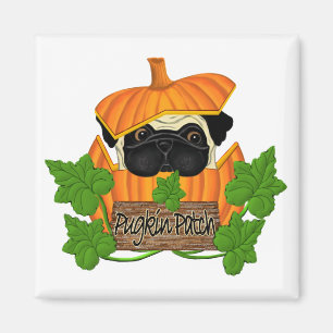 Mops Pumpkin Patch Magnet