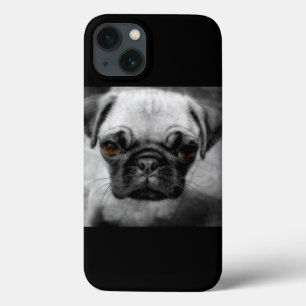 Mops Pup iPhone 13 Hülle