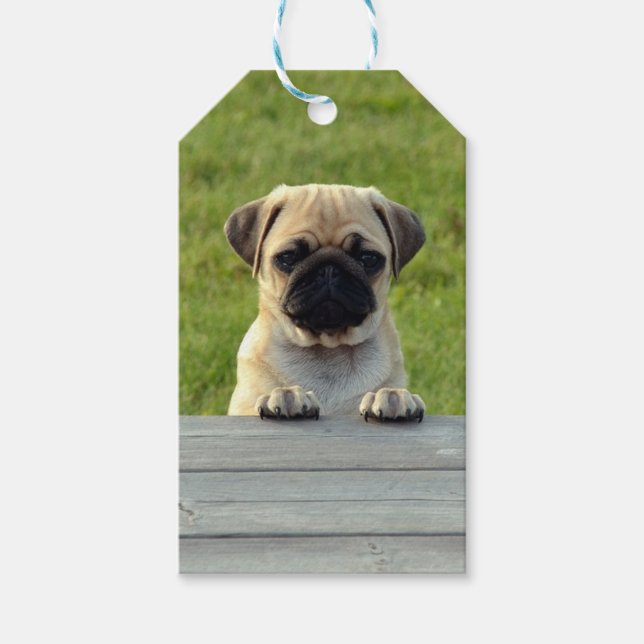 Mops Pup Geschenkanhänger (Vorderseite)