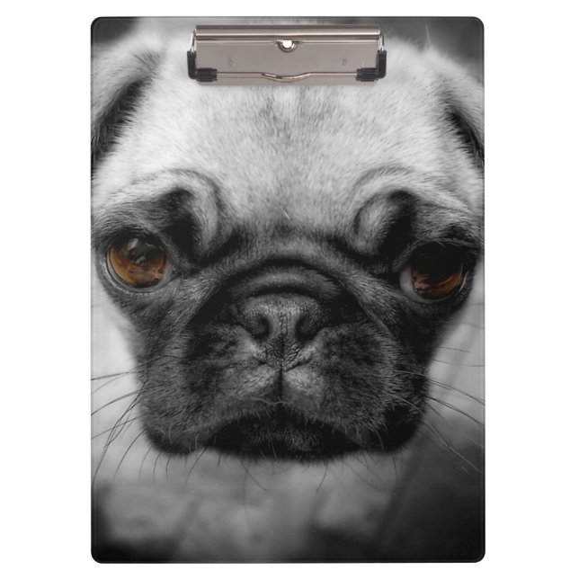 Mops Pup Klemmbrett (Vorderseite)