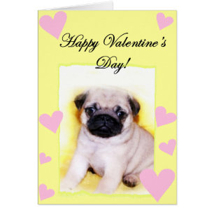 Mops Puppy