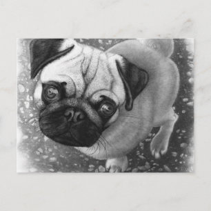 Mops Puppy Dog Art Postkarte