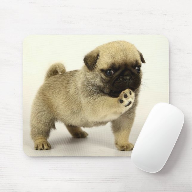 Mops Puppy Mousepad (Mit Mouse)