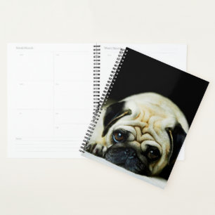 Mops Puppy Planer