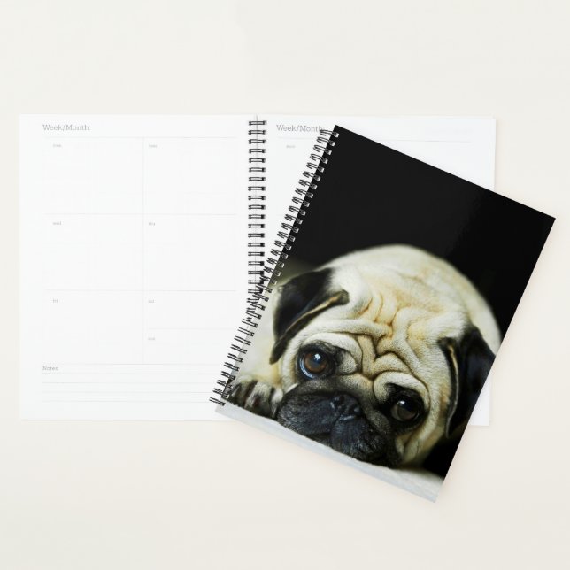 Mops Puppy Planer (Anzeige)