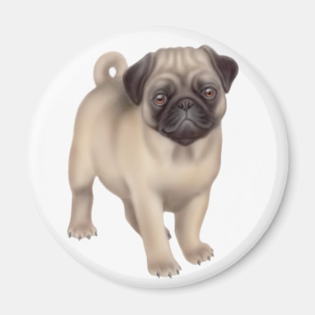 Mops Puppy Round Magnet (Vorne)