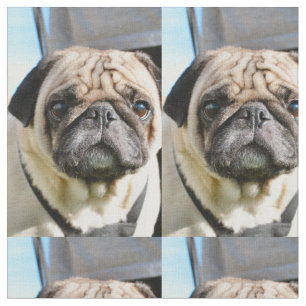 MOPS q Stoff