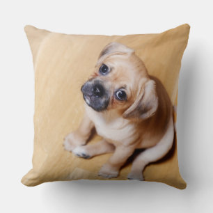 Mops-querer unbekümmerter Königcharles Spaniel Kissen