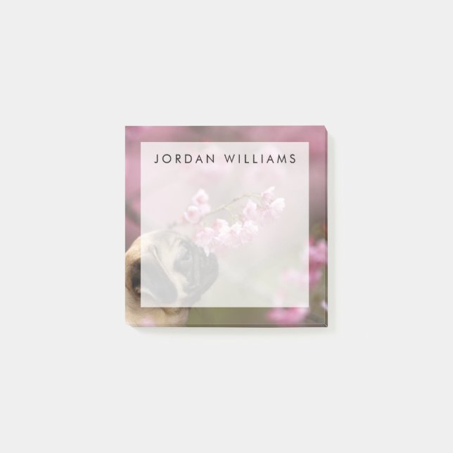 Mops riecht Kirschblüten Post-it Klebezettel (Vorderseite)