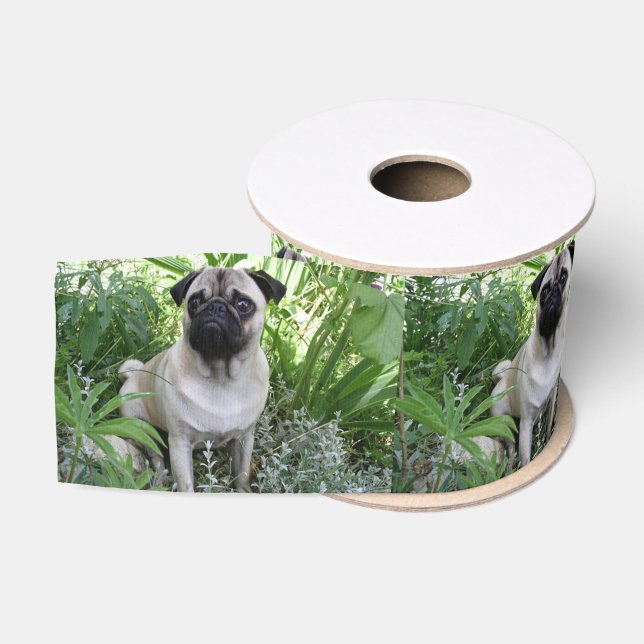 Mops Ripsband (Spule)