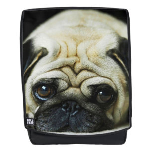 Mops Rucksack