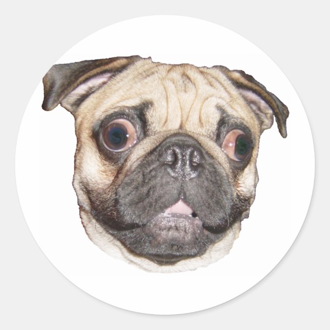 Mops Runder Aufkleber (Vorderseite)