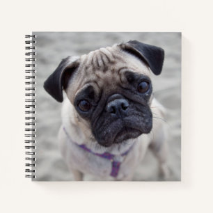 Mops schließen notizbuch