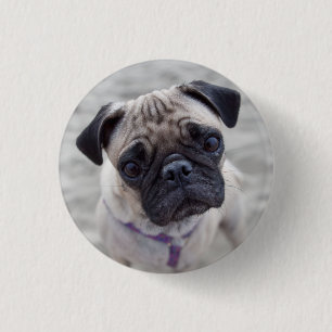 Mops-Schließung Button