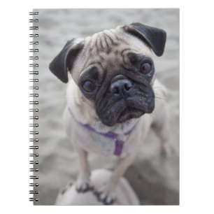 Mops-Schließung Notizblock