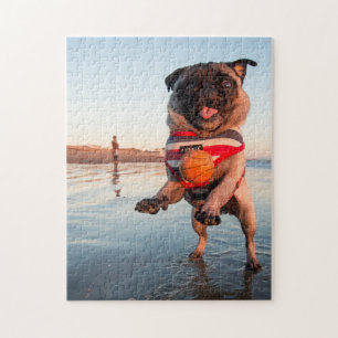 Mops spielen am Strand Puzzle