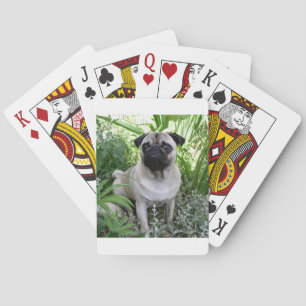 Mops Spielkarten