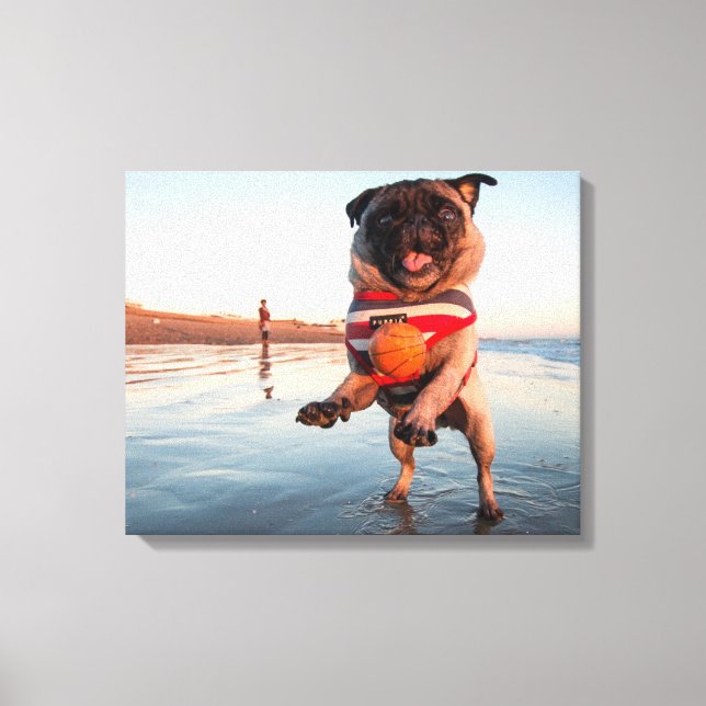 Mops spielt Ball am Strand Leinwanddruck (Vorderseite)