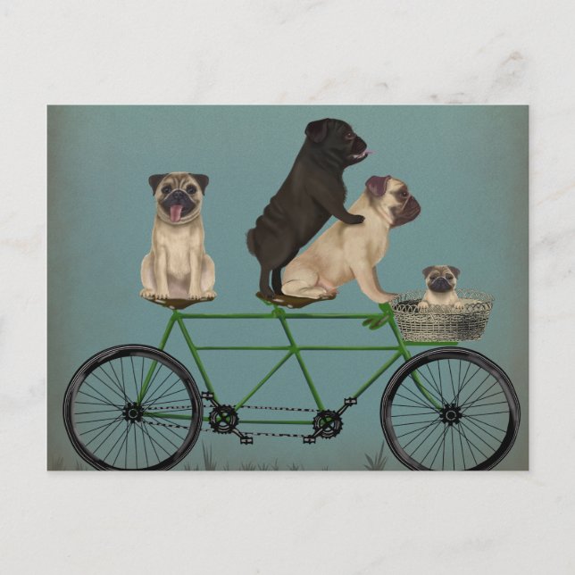 Mops Tandem Postkarte (Vorderseite)