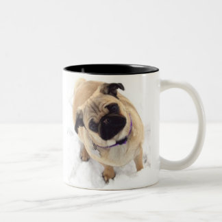 Mops-Tasse Zweifarbige Tasse