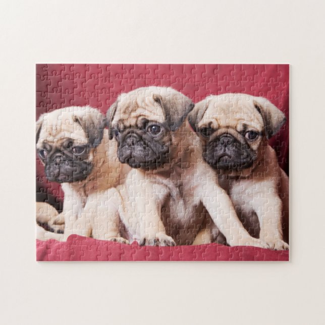 Mops-Triplets Puzzle (Horizontal)
