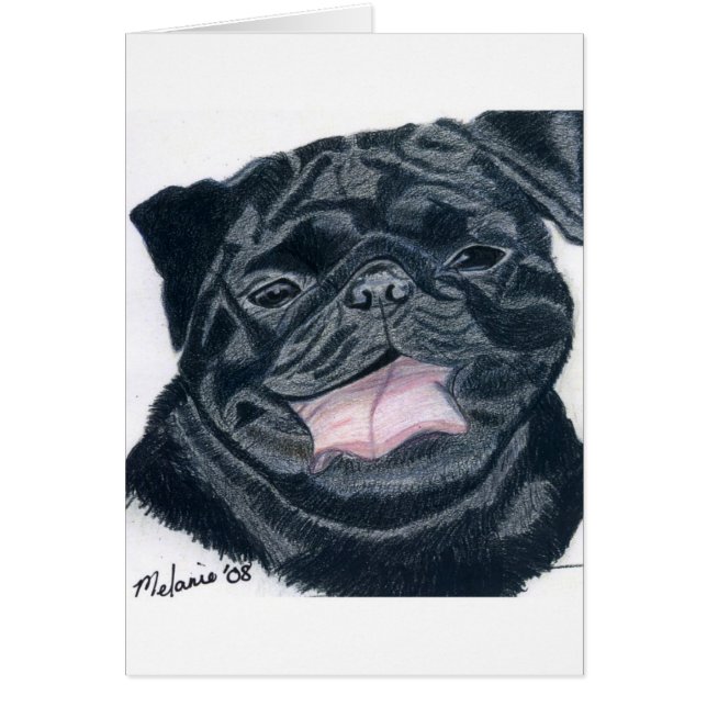 Mops- u. Bulldoggenmischung - Jaba (Vorne)