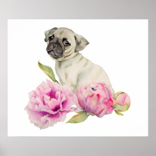 Mops und Peonies   Aquarellbilder Poster