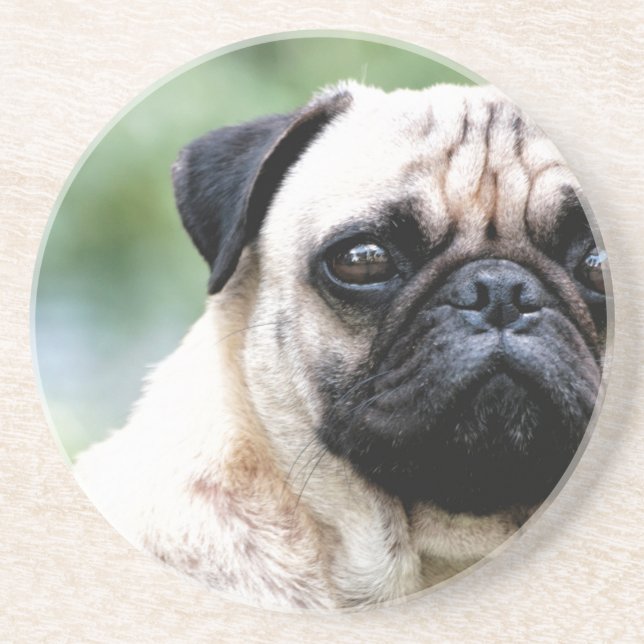 Mops Untersetzer (Vorne)