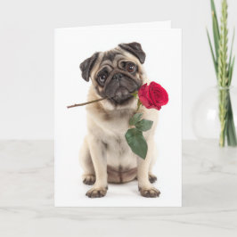 Mops Valentine Karte