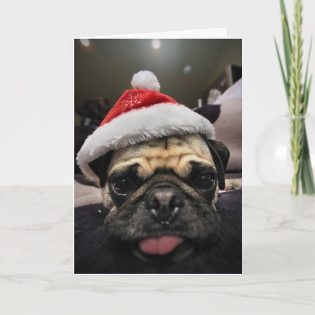 Mops Weihnachten (Vorderseite)