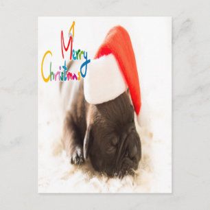 Mops Weihnachten Postkarte