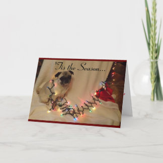 Mops-Weihnachtskarte Feiertagskarte