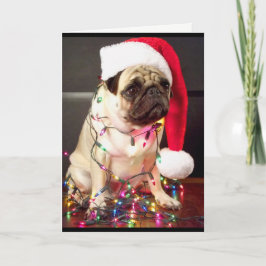 Mops Weihnachtskarte Feiertagskarte
