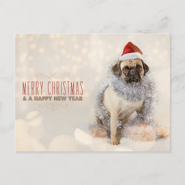 Mops-Weihnachtskarte Feiertagspostkarte (Vorderseite)