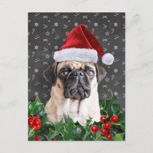 Mops Weihnachtskarte Feiertagspostkarte (Vorderseite)
