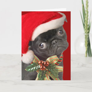 Mops Weihnachtskarten Feiertagskarte