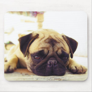 Mops-Welpe, der aus den Grund schaut traurig legt Mousepad
