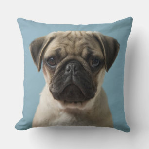 Mops-Welpe gegen blauen Hintergrund Kissen