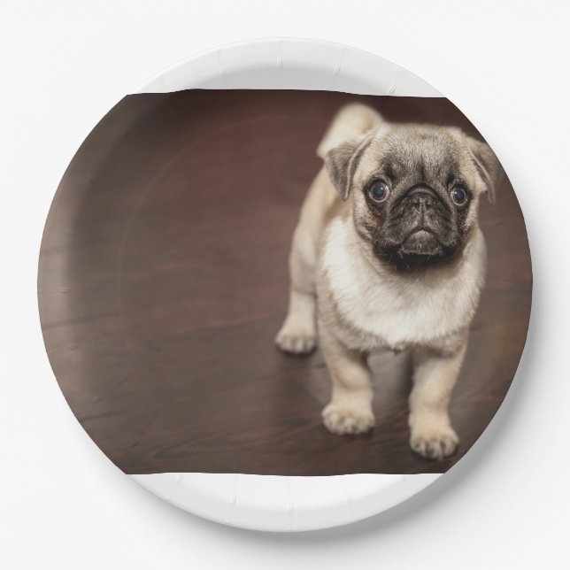 Mops-Welpe in Sepia Pappteller (Vorderseite)