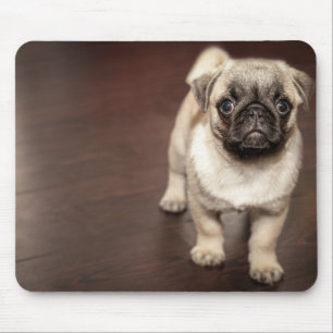 Mops-Welpe Mousepad