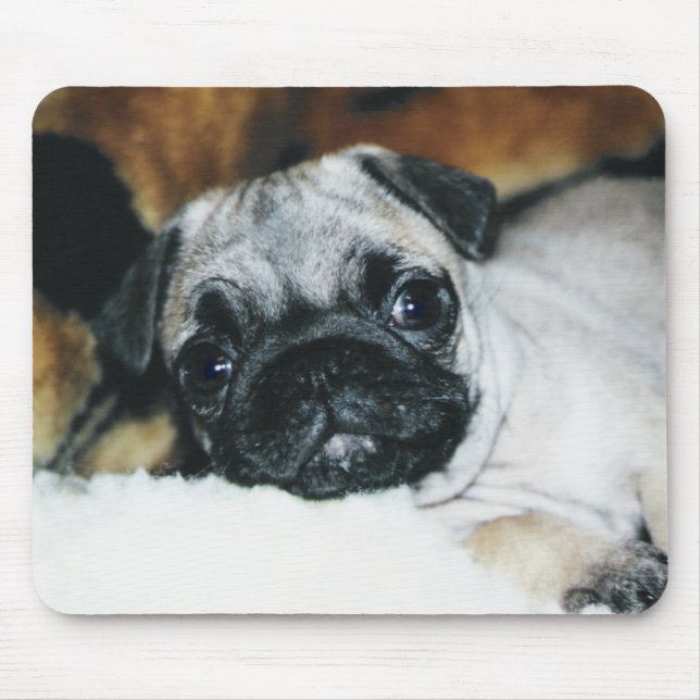 Mops-Welpe Mousepad (Vorne)