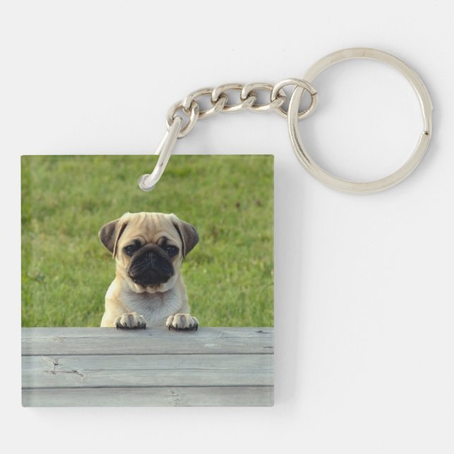 Mops Welpe Schlüsselanhänger (Rückseite)