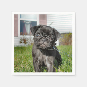 Mops-Welpe Serviette