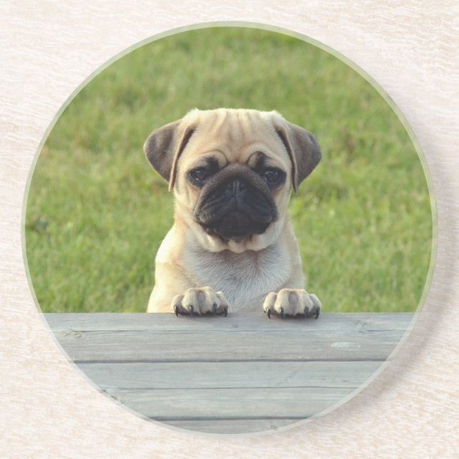 Mops-Welpe Süßes Foto Getränkeuntersetzer (Vorne)
